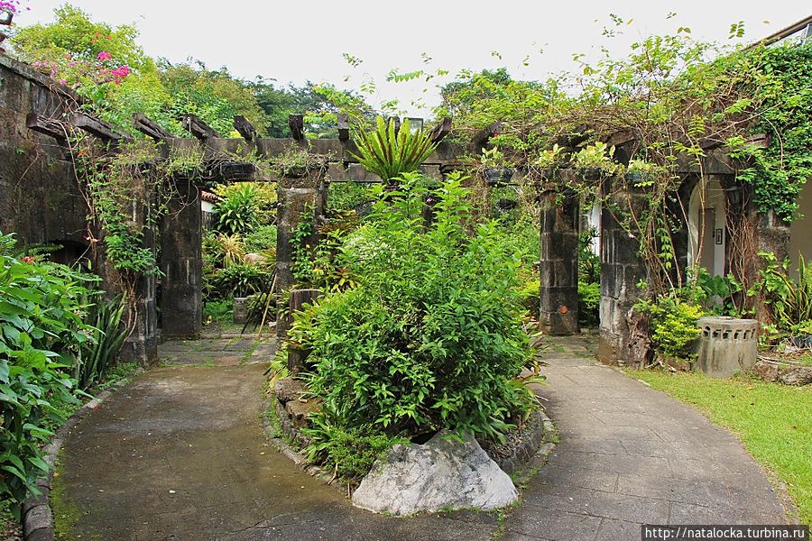 Сад Бонсай в Маниле Манила, Филиппины