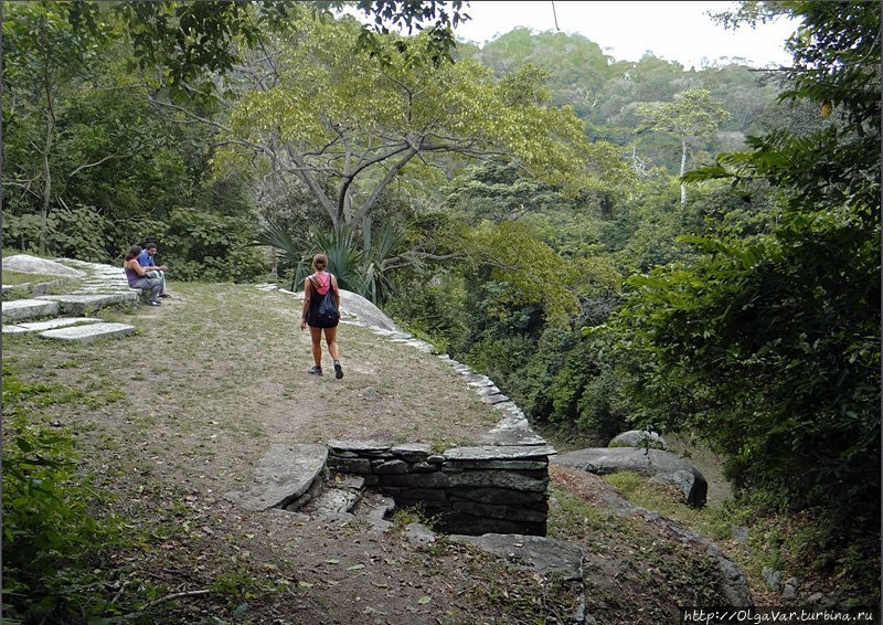 Здесь, на террасах Пуэблито, и  жили когда-то индейцы тайрона Тайрона Национальный Парк, Колумбия