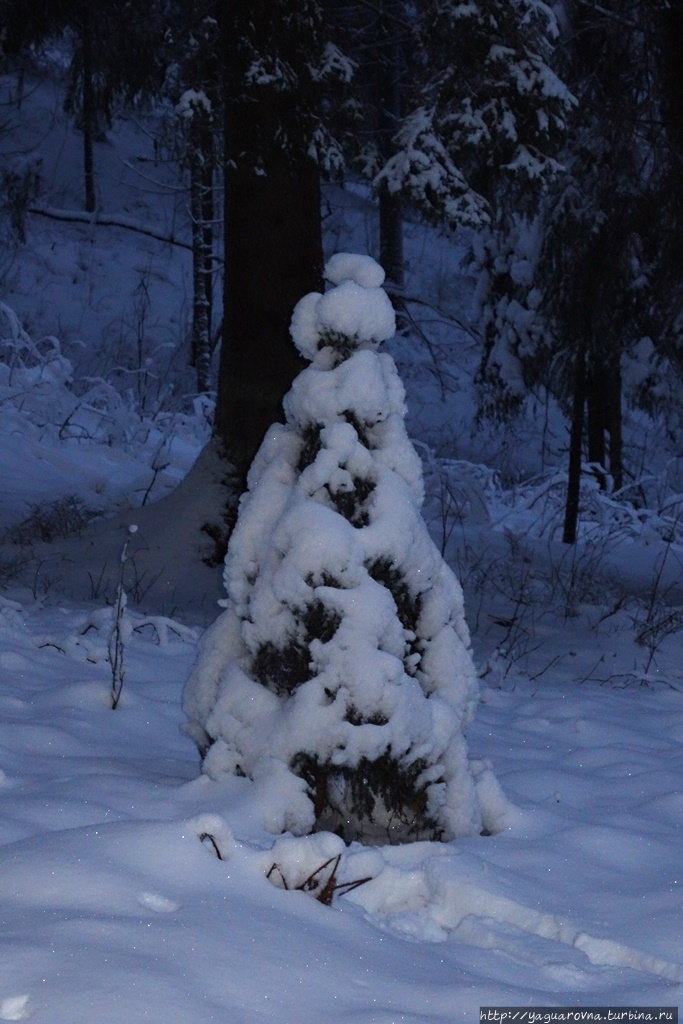 Зимушка-зима на Валдае.