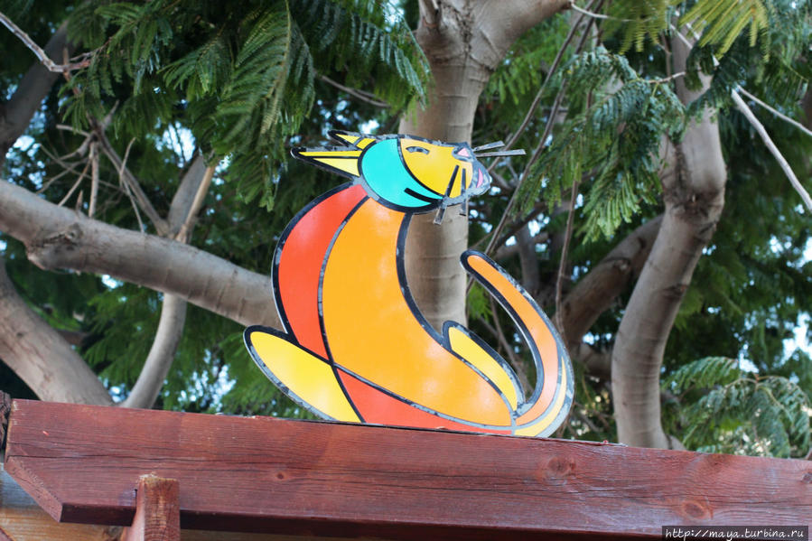 Как я провела Судный день