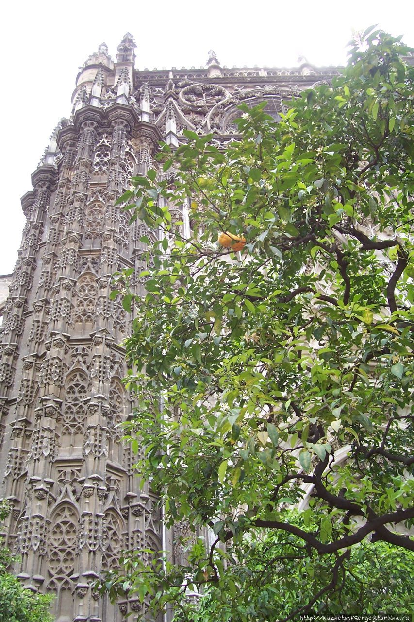 Севилья по минимуму Севилья, Испания