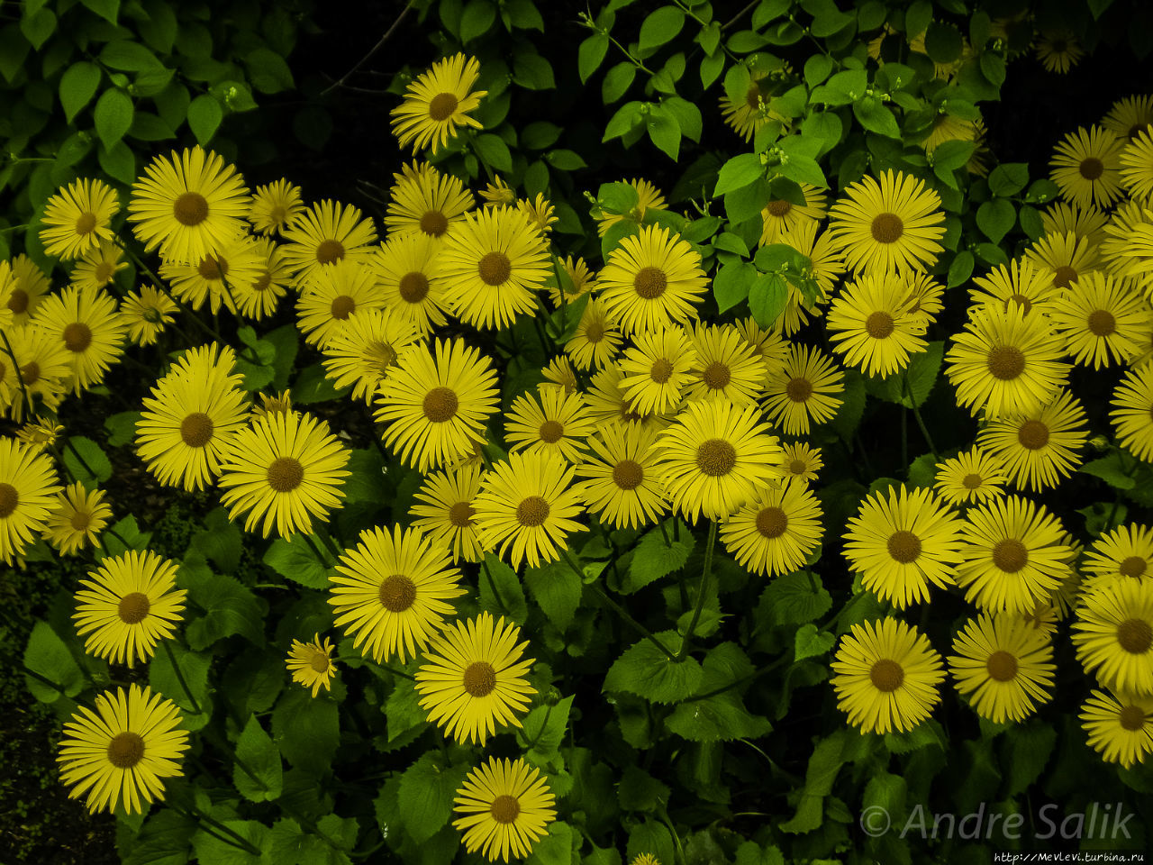 Весенние фотографии из Риги Рига, Латвия