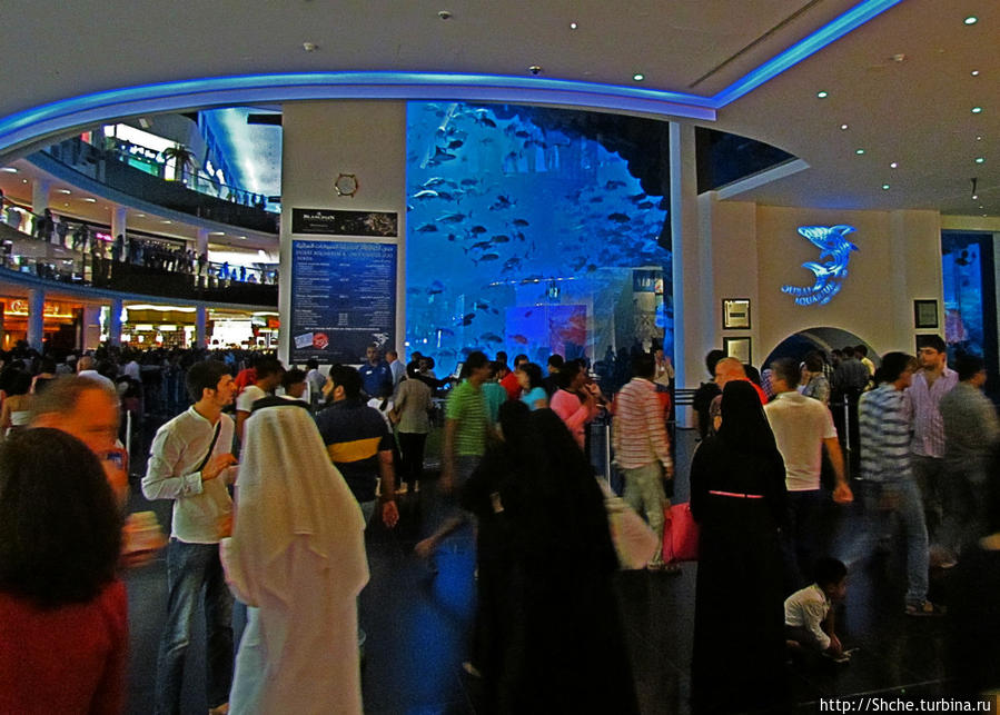 по лифту подымаемся выше — сразу центральный зал в котором виден громадный аквариум с акулами — хороший ориентир для поиска обратной дороги:)) Дубай, ОАЭ