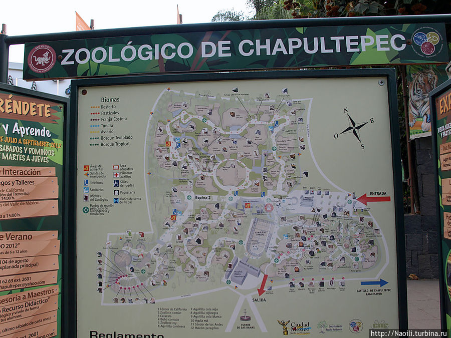 Чапультепекский зоопарк Мехико, Мексика
