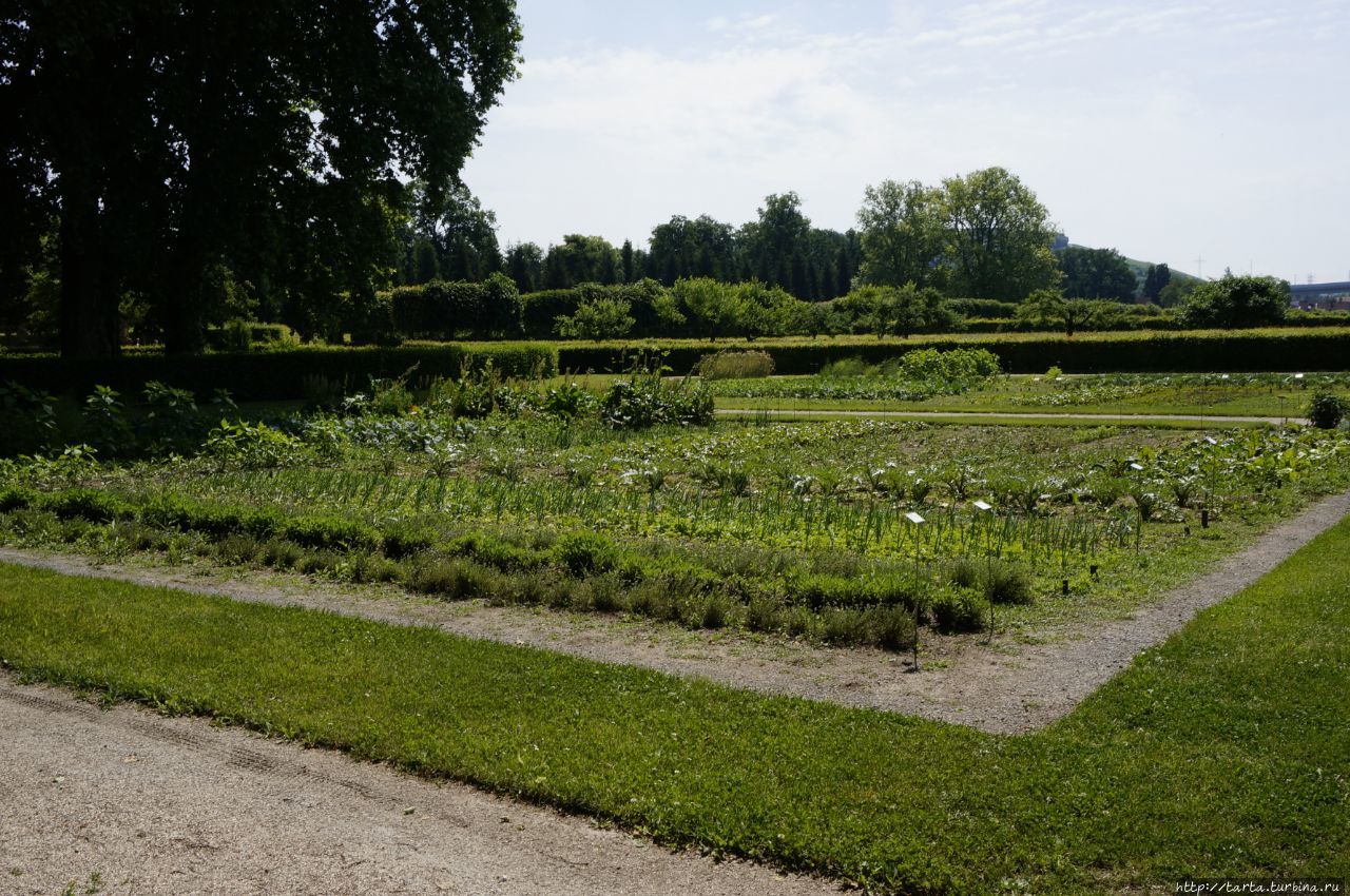 Дворец и сад  Файтсхёххайм Файтсхёххайм, Германия
