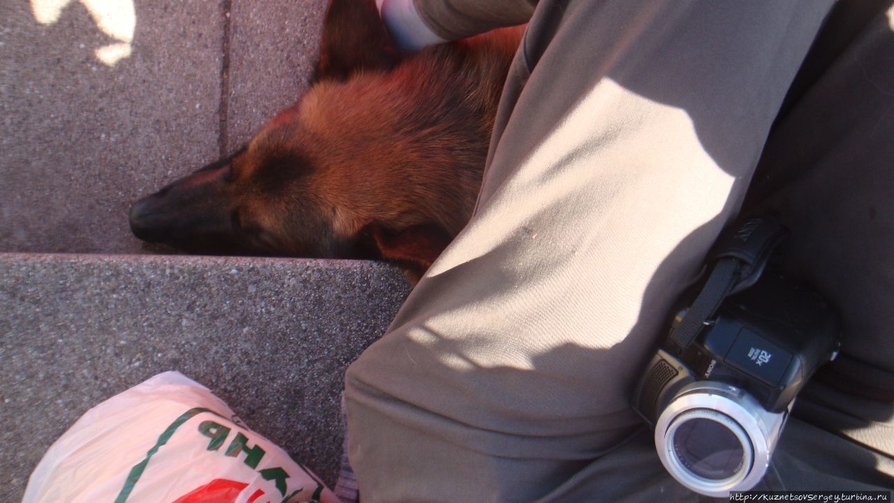 Зигер в Ульме Ульм, Германия