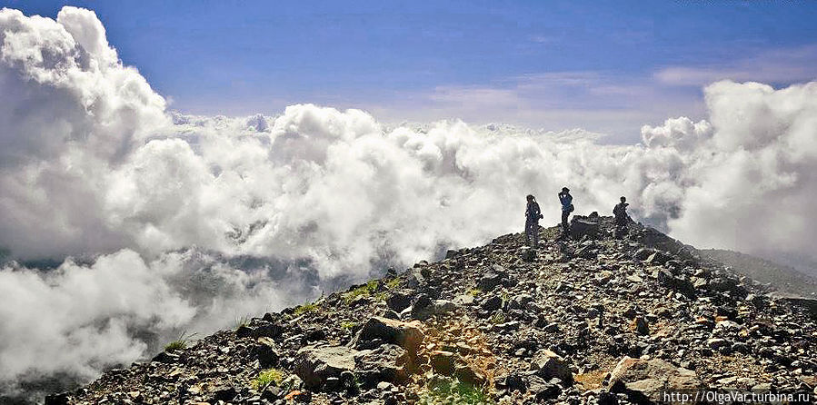 Где-то там, внизу, до горизонта расстилалось море облаков. Клубясь, они неслись, как бешеные, гонимые ветром