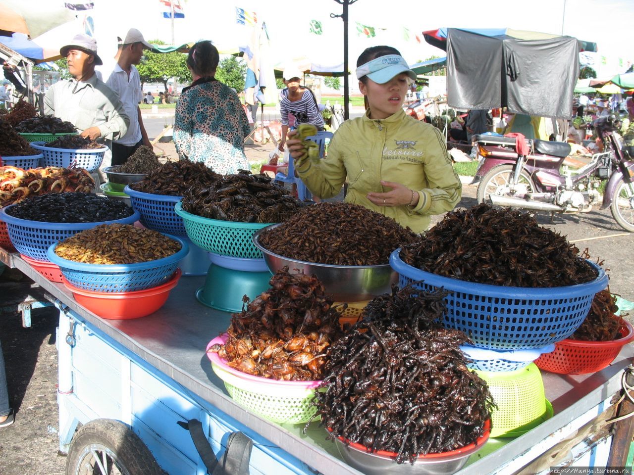 Как поесть насекомых в Камбодже / How to eat insects in Cambodia