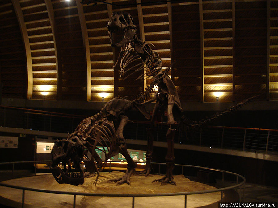 Юрский зал «описывает» второй период мезозойской эры (от 200 до 145 миллионов лет назад), который считается периодом расцвета динозавров. Имеет модели зауроподов. На дисплее отображается информация об анатомических особенностях, таким как вес, система кровообращения и относительный размер черепа. Колунга, Испания
