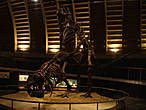 Юрский зал «описывает» второй период мезозойской эры (от 200 до 145 миллионов лет назад), который считается периодом расцвета динозавров. Имеет модели зауроподов. На дисплее отображается информация об анатомических особенностях, таким как вес, система кровообращения и относительный размер черепа.