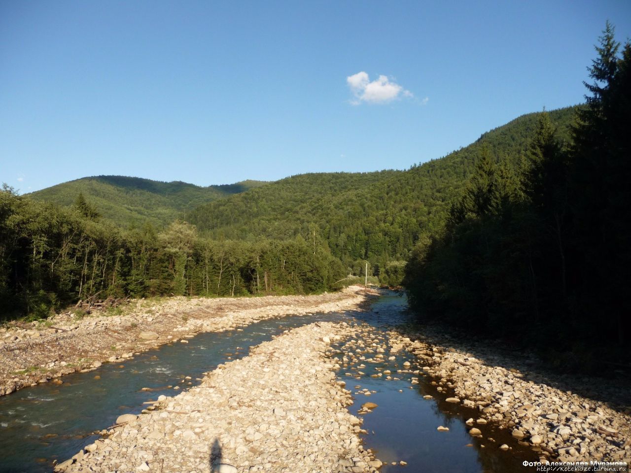 Лесистые Горганы Горганы заповедник, Украина