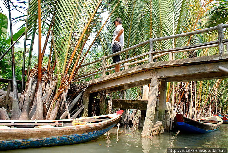 Проплываем под мостами Лонгсюен, Вьетнам