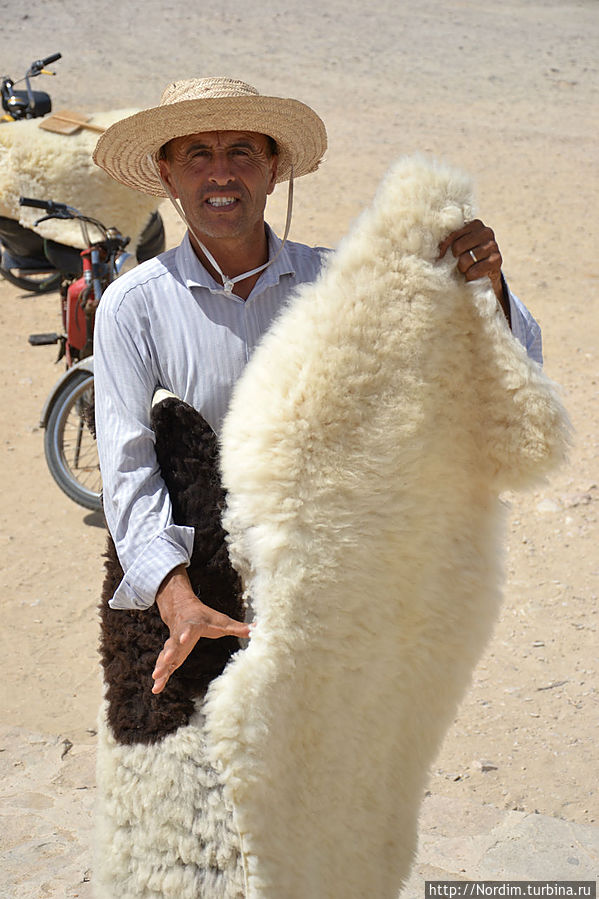 Продавец шкур Матмата, Тунис