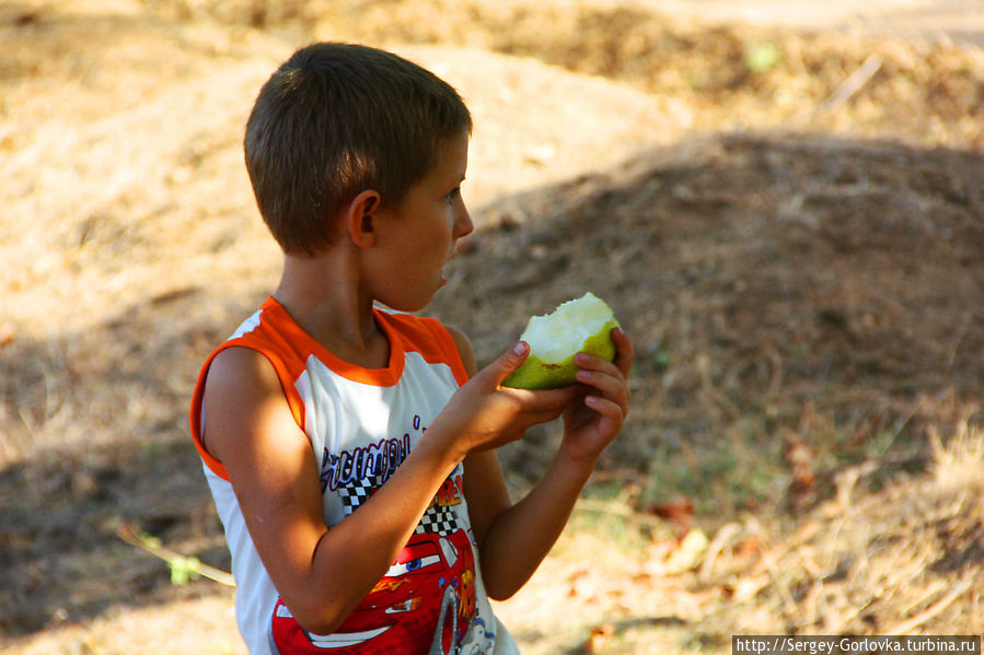 Золотая Амфора 2012 Песчаное, Россия