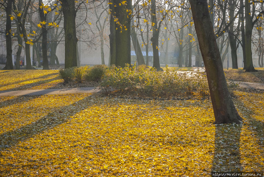В ноябре в парке Кронвальда Рига, Латвия