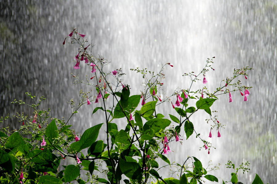 Семикаскадная прогулка по Маврикию Сет-Каскад, Маврикий