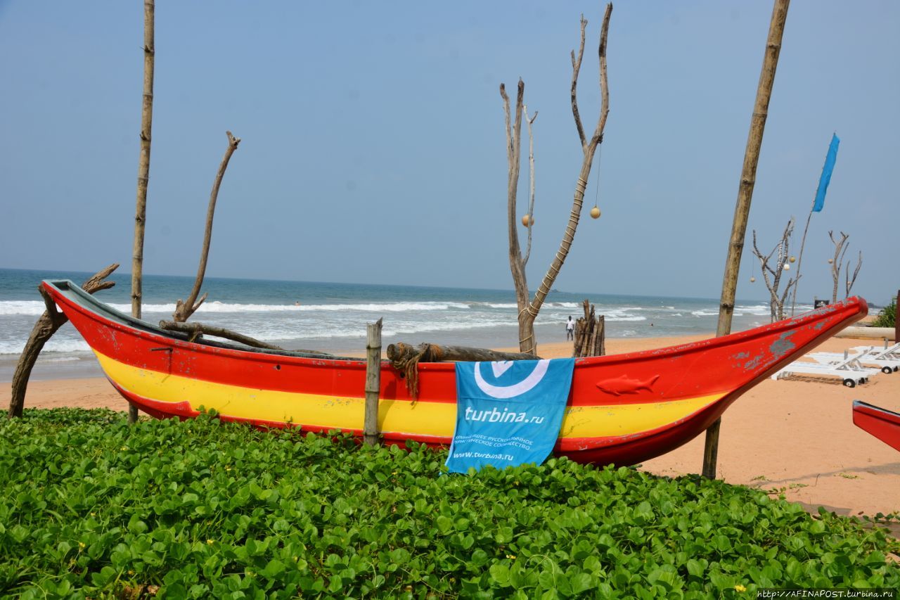 Пляж Бентота. Обалдеть, во всех смыслах этого слова Бентота, Шри-Ланка