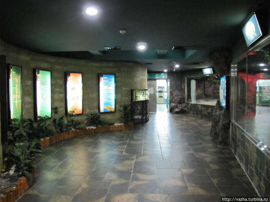 Террариум музея. Пусан, Республика Корея