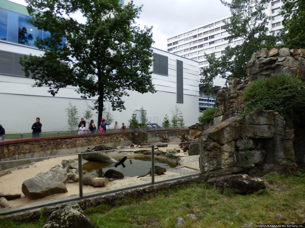 Зоологический сад Берлина Берлин, Германия