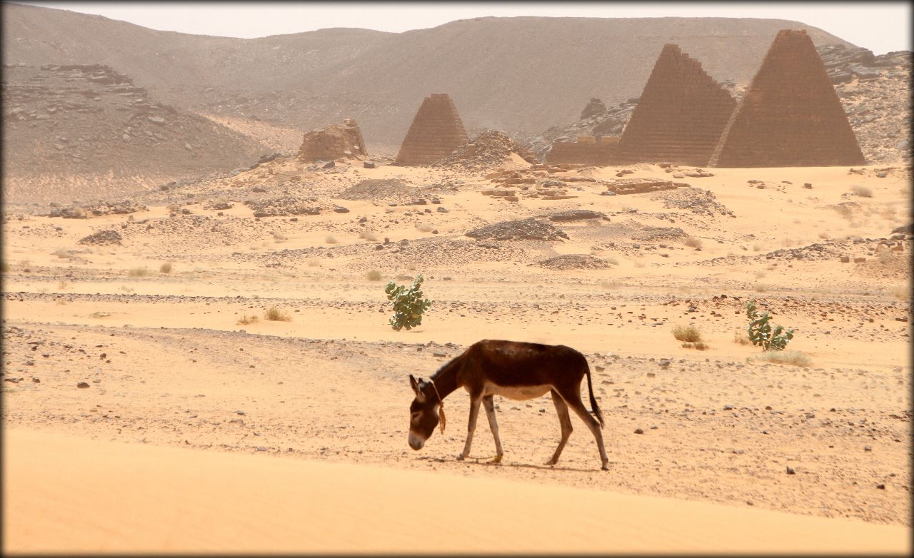 Природные зоны африки карта география 7. Природные районы африки 7 класс. Положение в природных зонах эфиопии. Климатическая карта судана. Нигерия сахель.