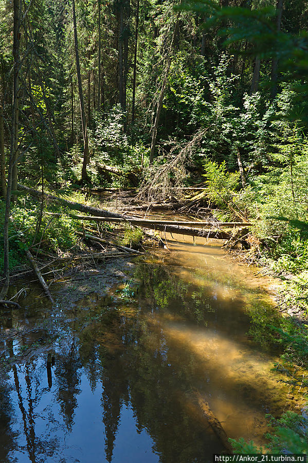 Один день в Ошети Кировская область, Россия