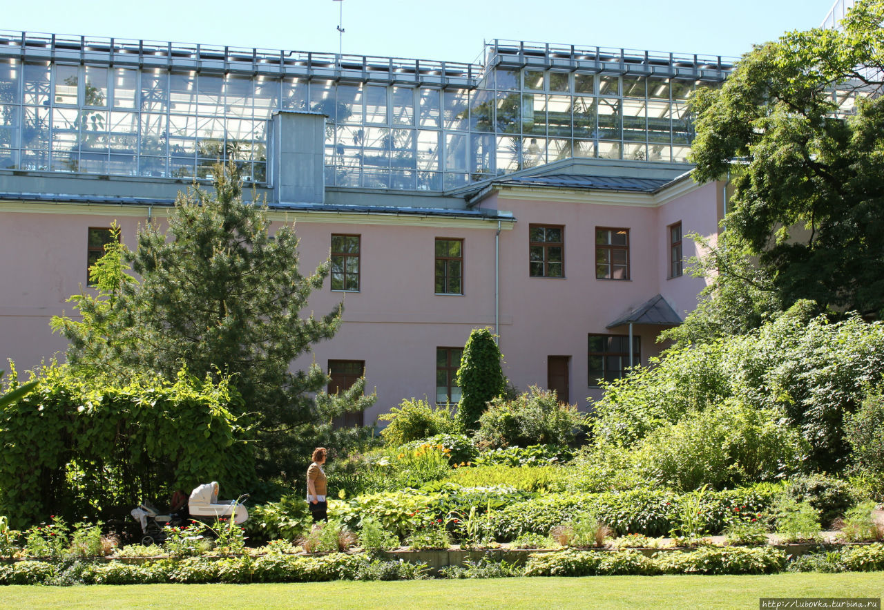 В Ботаническом саду города Тарту  июнь 2015 Тарту, Эстония