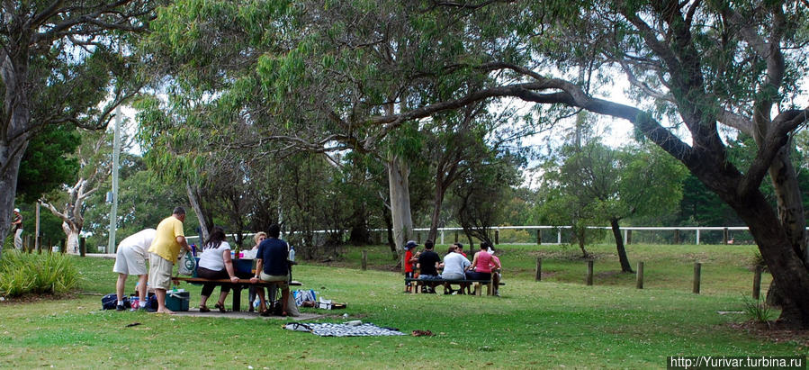 Место для пикника и ланча в Голубых горах Сидней, Австралия
