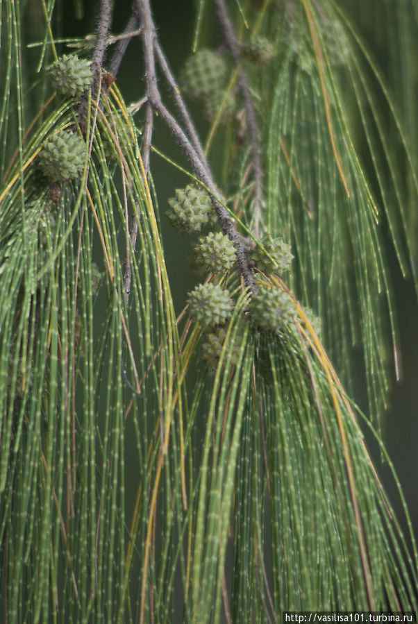 ЮВА 2012 — день 6 — Ко Чанг Остров Ко-Чанг, Таиланд