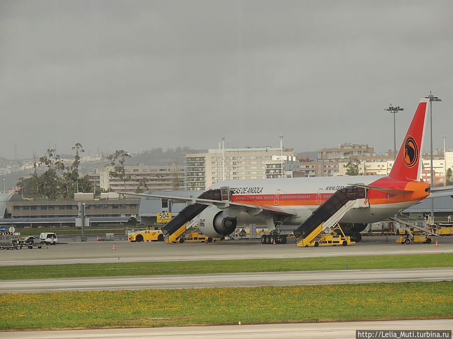 Первым делом самолеты....