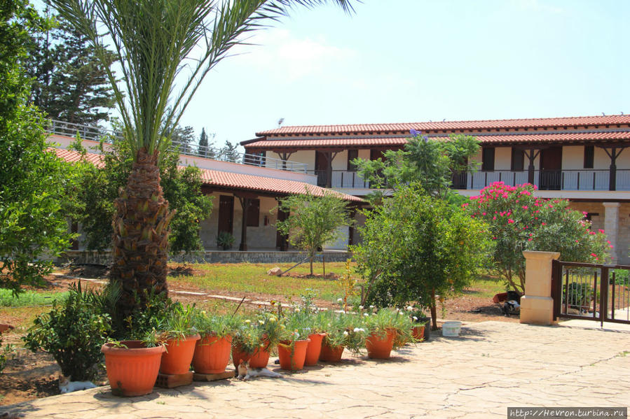Монастырь святого Николая / The Monastery of Saint Nicholas of the Cats