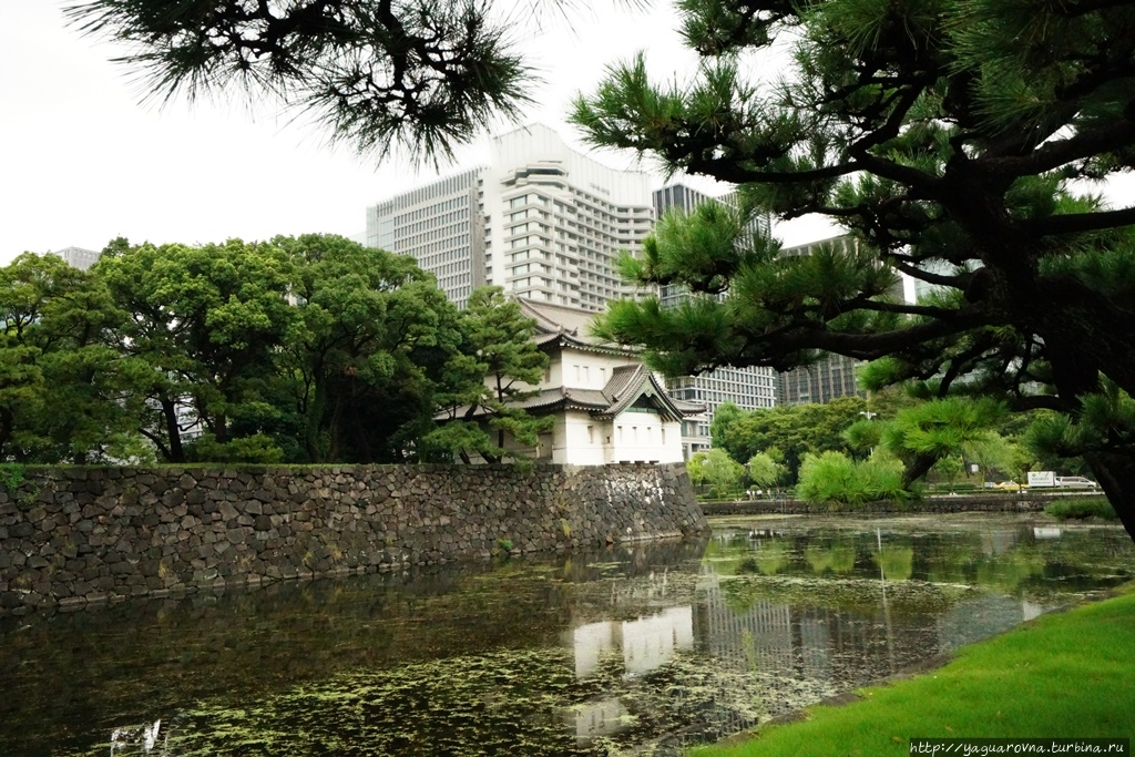 Императорский дворец Токио, Япония
