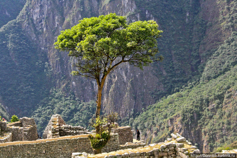 Мачу Пикчерс не представляет... )) Мачу-Пикчу, Перу