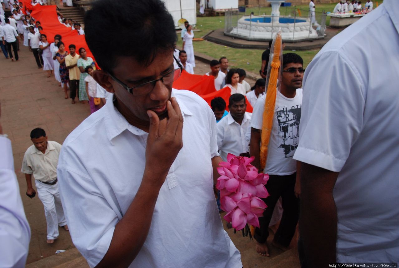 Праздник у Руанвелиссии Анурадхапура, Шри-Ланка