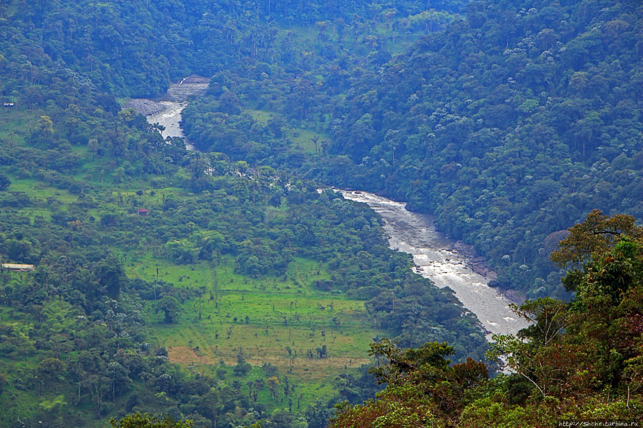 N.P. Cayambe-Coca — горы, реки, водопады. Дорога в облаках Кайамбе-Кока Экологический Заповедник, Эквадор