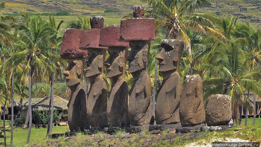 Из интернета