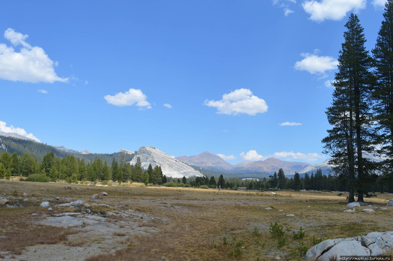 Седые скалы Йосемити Йосемити Национальный Парк, CША
