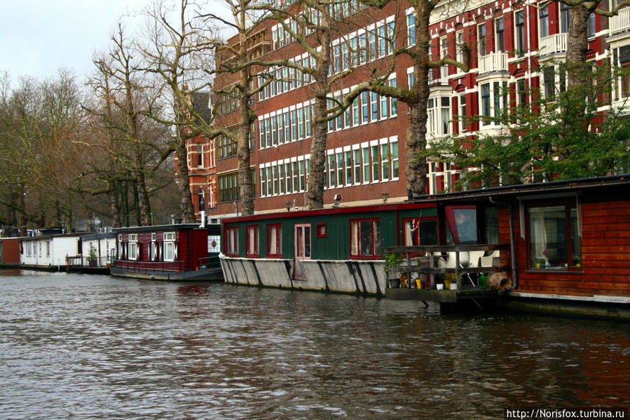 Хаусботы — они повсюду) Амстердам, Нидерланды