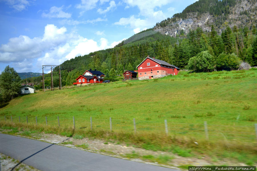 Мечты сбываются. Норвегия. Дорога через Харданнгервидд Норвегия
