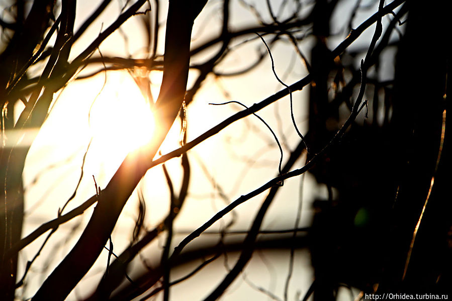 Закат чудесного ясного дня Харьковская область, Украина
