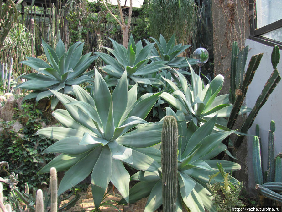 Зоопарк Сеула. Третья часть. Сеул, Республика Корея