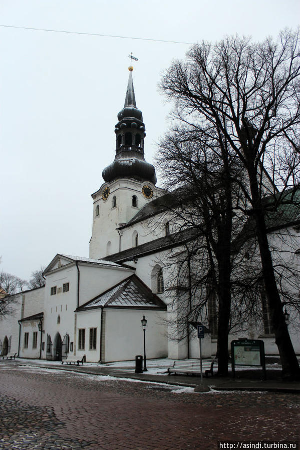 Домский собор Таллина Таллин, Эстония