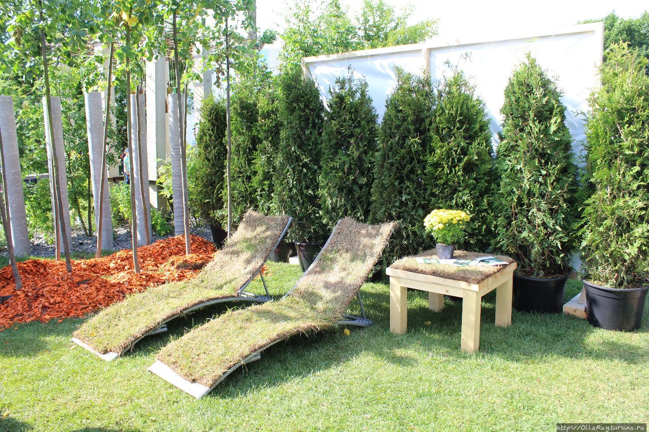 Moscow Flower Show 2017. Фотоотчёт и впечатления. Москва, Россия