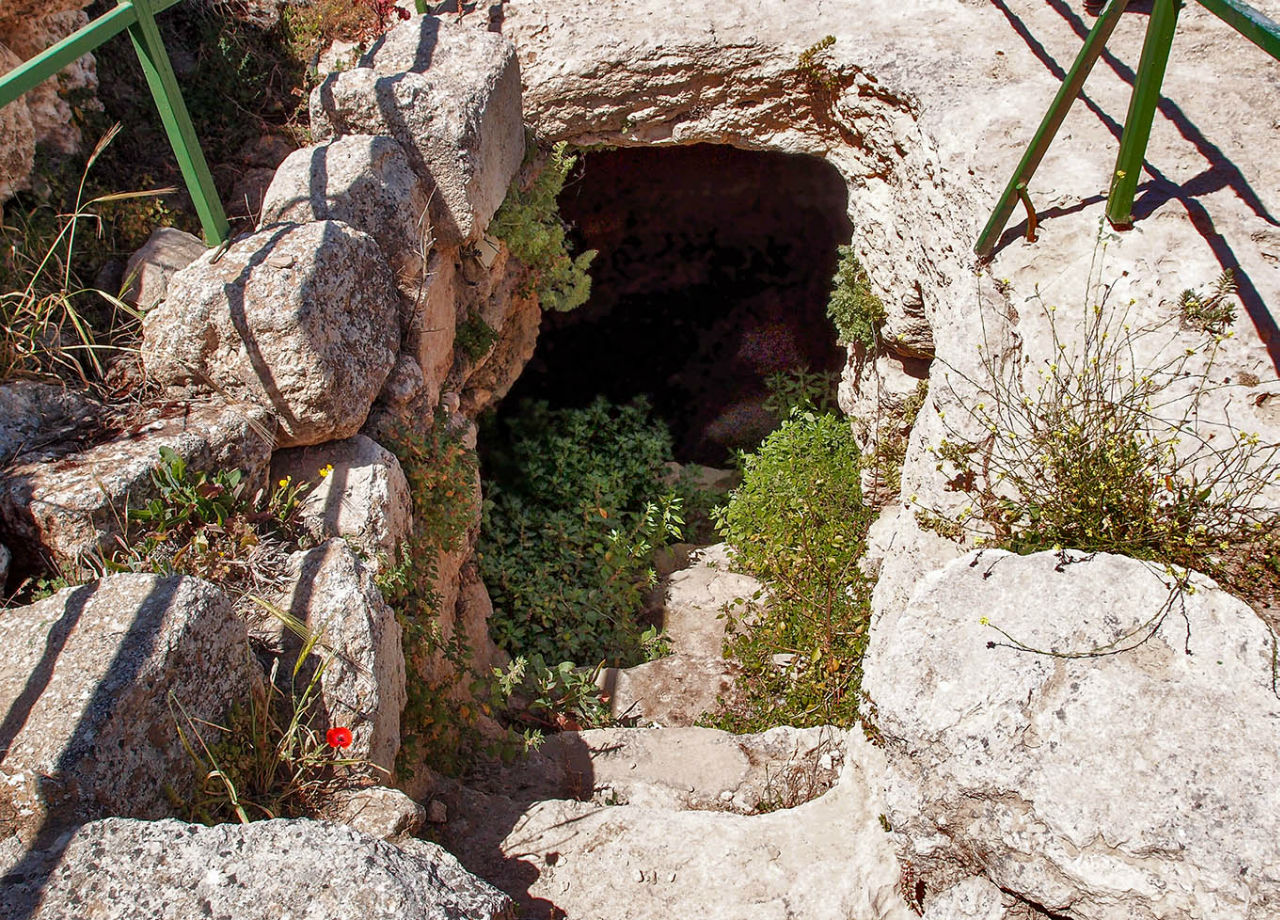 Ботаника, археология и зеленая черта Сусия, Палестина