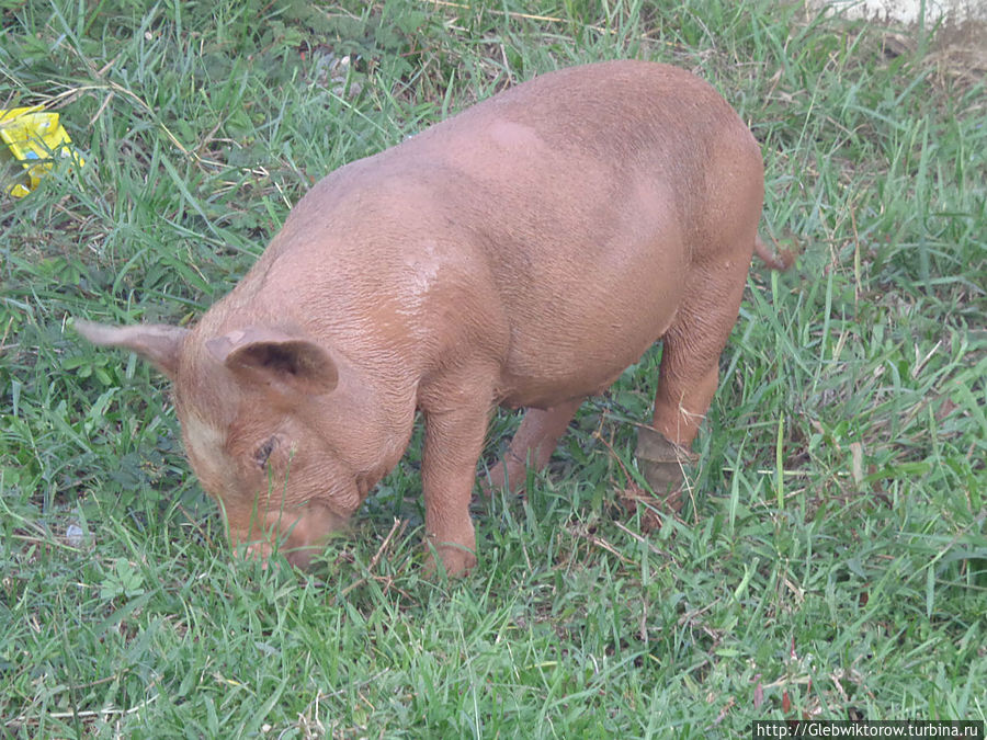 Город Салаван Салаван, Лаос