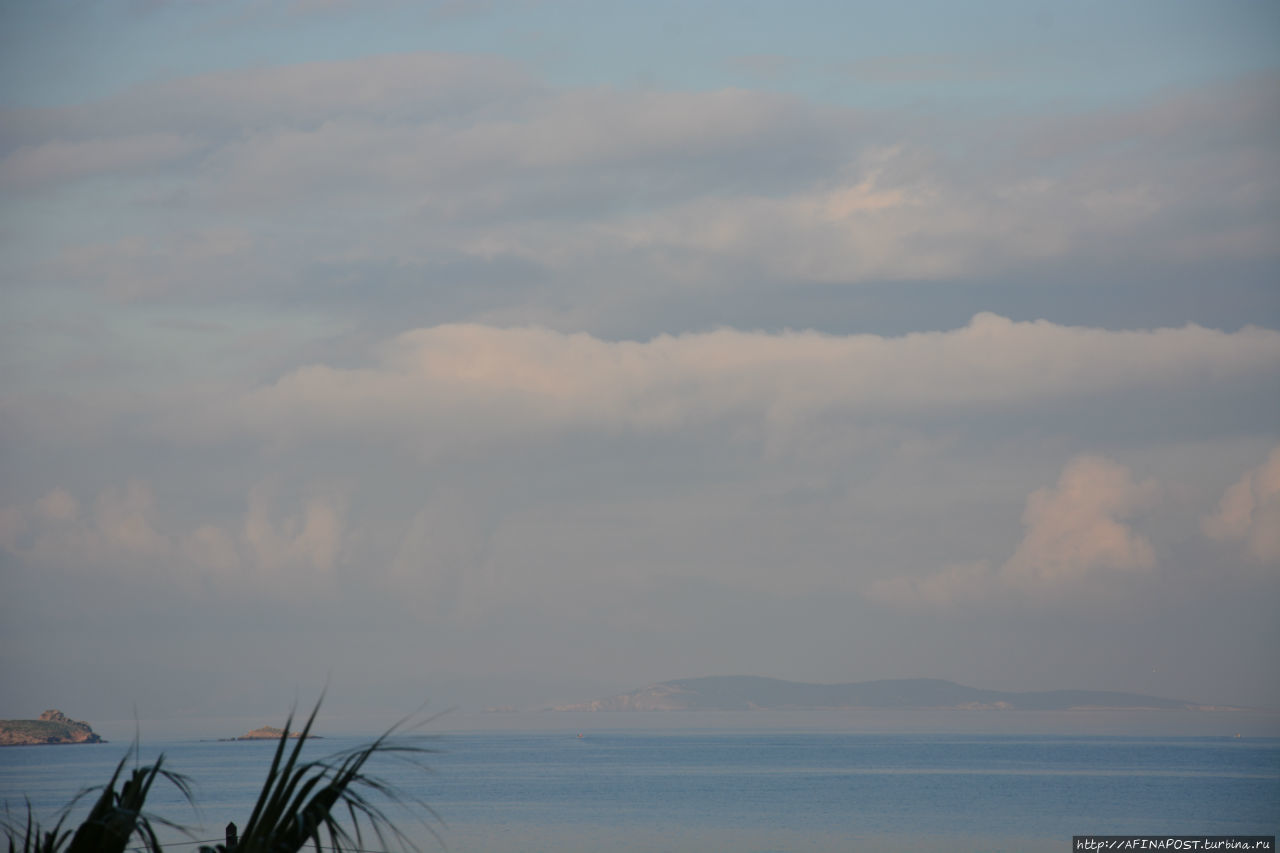 Все оттенки серого