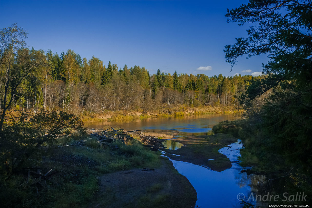 Утесы на реке Гауя Лигатне, Латвия