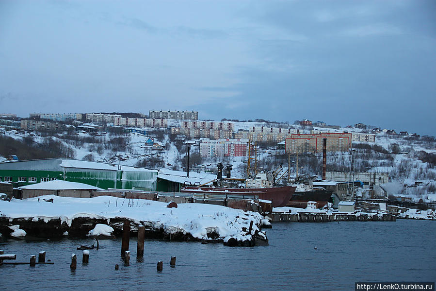 В гости к сивучам! Петропавловск-Камчатский, Россия