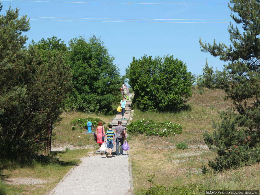 Обустроенный выход на пляж, примерно в 5 км от границы с Литвой. Куршская Коса Национальный Парк, Россия