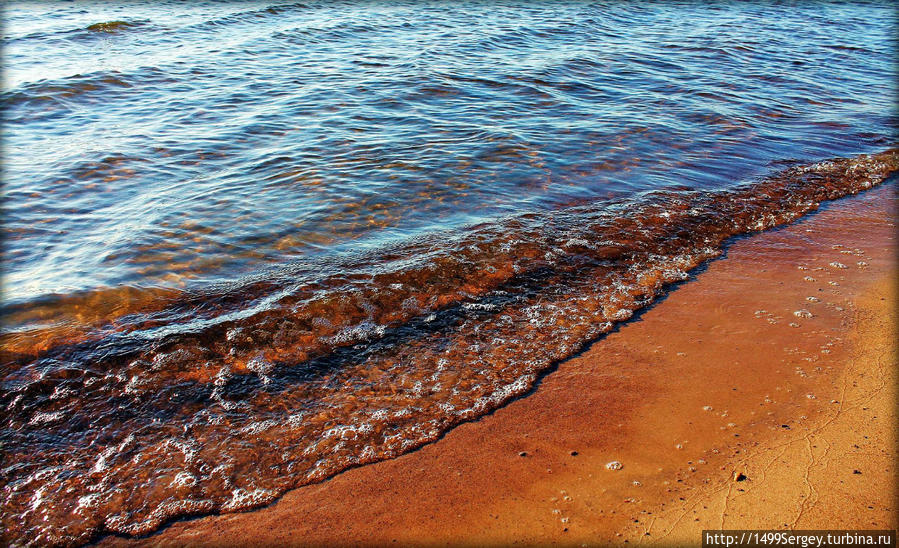 Вода и камни #2. Мир в цвете Сосновый Бор, Россия