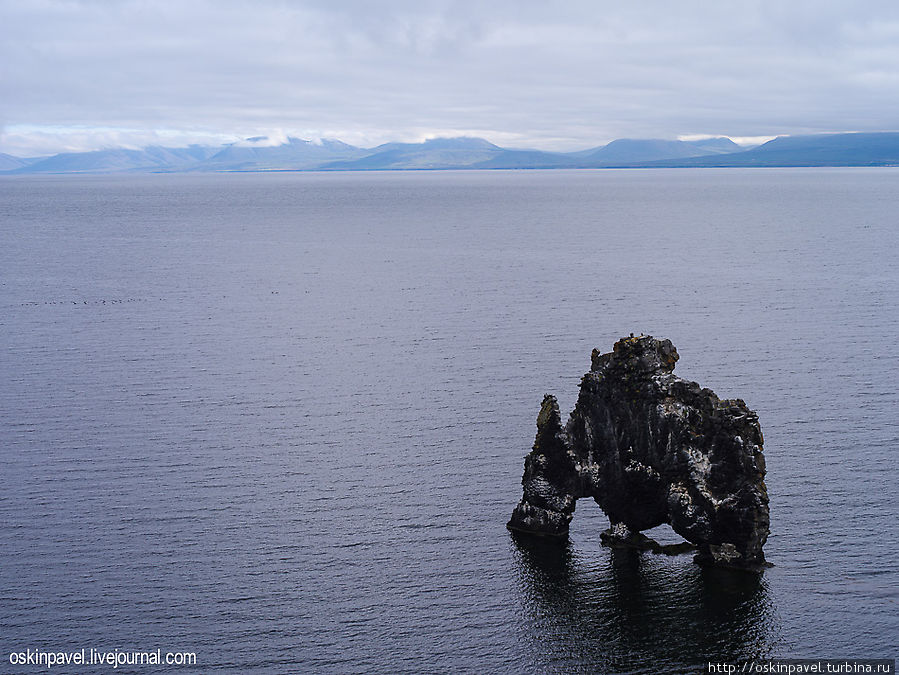 Фотоприключения в Исландии. Тюлени Северо-западная Исландия, Исландия